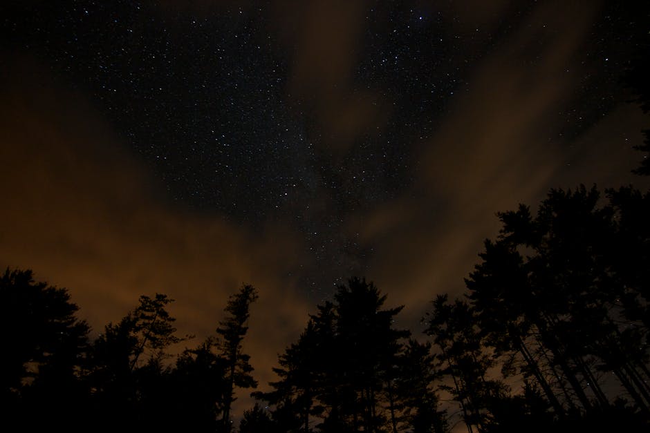 Cerul nocturn